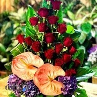 گلسرای نهال