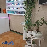 کافی نت بووف