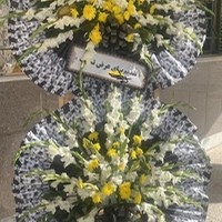 دنیای گل امیر