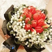 استودیو عکسبرداری و فیلمبرداری اَشا
