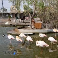 باغ پرندگان فریدونکنار