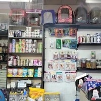 پتشاپ لیزی پت