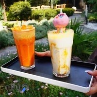 باغ ناز