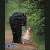 ساختمان پلاسکو