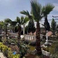 مجموعه امیر