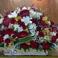 کانون آگهی و تبلیغات نوین روز