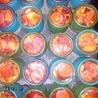 دیزی سرای آذربایجان محسن