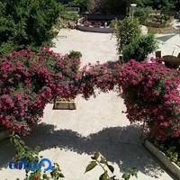 مرکز توانبخشی و نگهداری سالمندان شالیزار