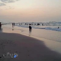 دکترحبیب الله مصطفی لو
