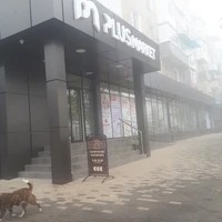 فروشگاه اینترنتی راضی خرید
