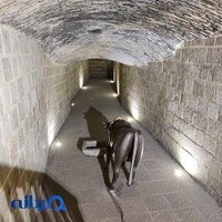 موزه گاوچاه