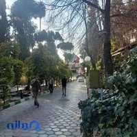 مجتمع فرهنگی تربیتی آیت اللّه ربانی (المپیک)