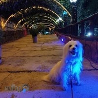 رستوران وچايخانه سنتي پارس