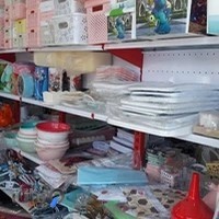 برنا پلاسکو