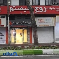 شرکت روج سیستم
