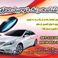 نقاشی اتومبیل مطهری