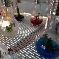 پژوهشکده گیاهان دارویی جهاد دانشگاهی