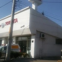 نمایندگی تویوتا گلدایی