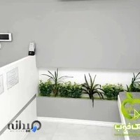 دکتر روح الله ناصری