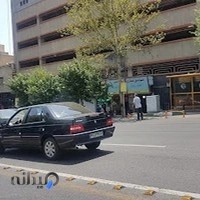 موتور سازی کیانی