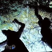 عکاسی میلاد