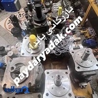 پایدار یدک