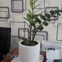 مدیرمارکت