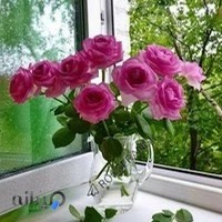 اموزشگاه وخدمات مراقبت زیبایی کژال خانم بیگلری
