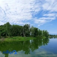 تالاب عینک