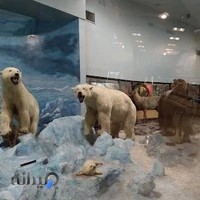 موزه تنوع زیستی و حیات وحش پردیسان