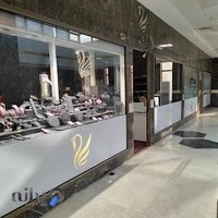 🦢 قو طلایی