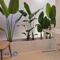 دکتر فاطمه سروی