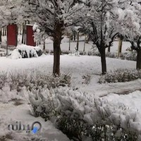 شرکت حمل و نقل احرار بار (کیانی)
