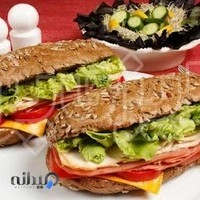 فست فود گل محمدی