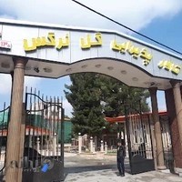 تالار پذيرايي كوثر