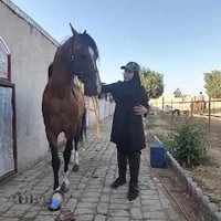 مدرسه سوارکاری سپهسالار