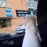 کلینیک دامپزشکی آران