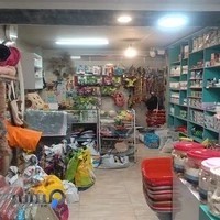 پت شاپ نیلو ارسال صدرا رایگان