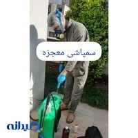 سمپاشی معجزه