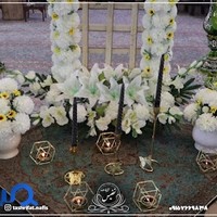 تشریفات نفیس