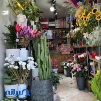گلفروشی گل خاص