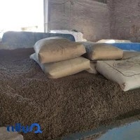 مصالح ساختمانی و حمل نخاله