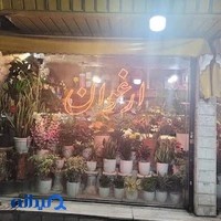 گلستان ارغوان