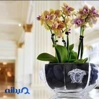 WMF shop | گالری ثابتی
