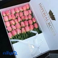 گلفروشی اینترنتی موژان