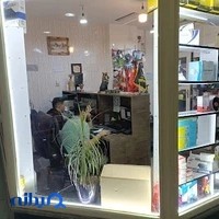 فروشگاه اینترنتی آلندویو