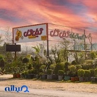 مجتمع گل و گیاه گیل گل