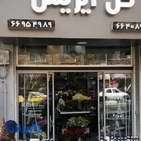 گلفروشی ایریس