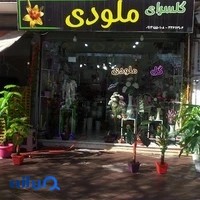 گلسرای ملودی