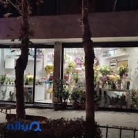 گلفروشی کلاه فرنگی